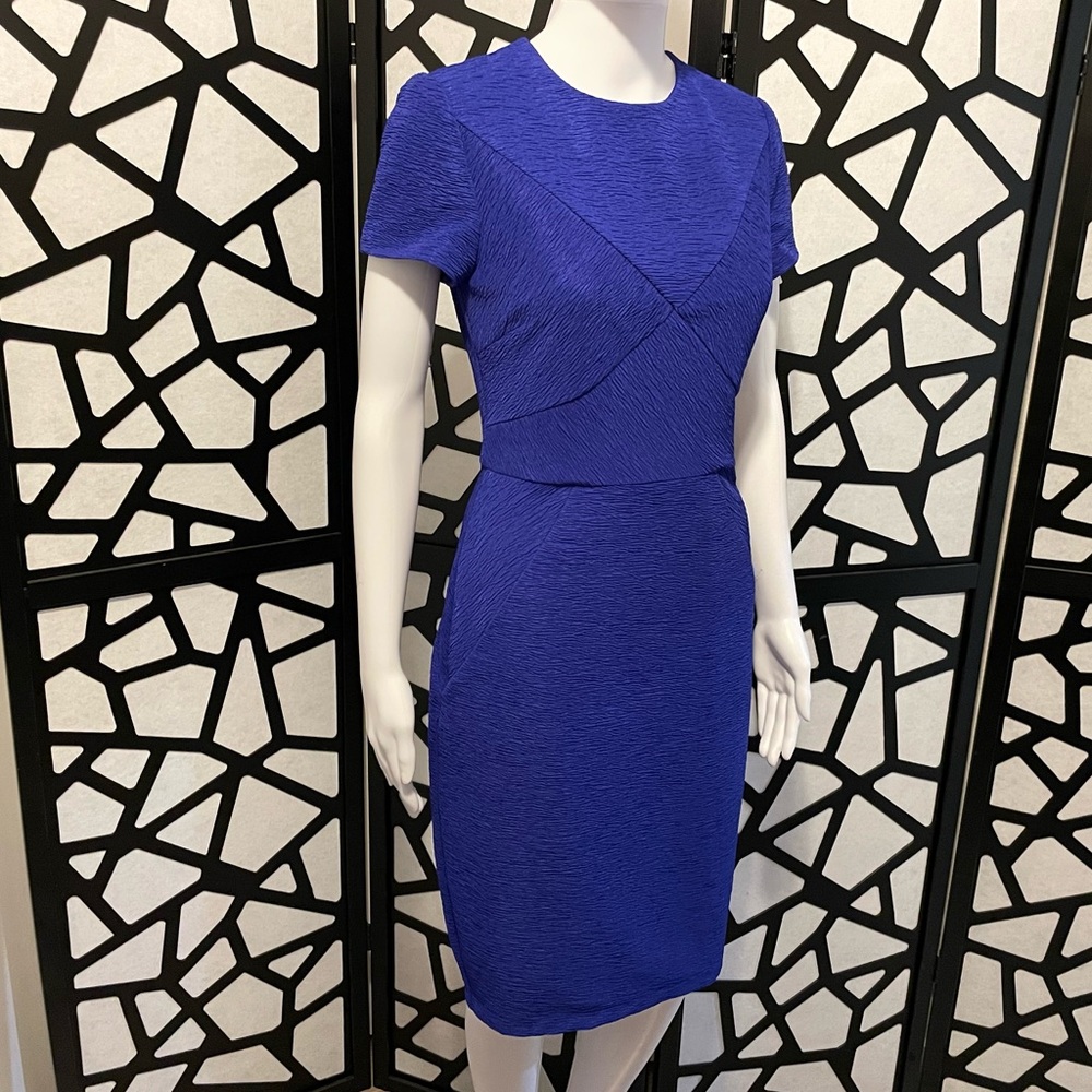 Ted Baker London Blue / Violet Nedeli Bodycon Dress - Size 2